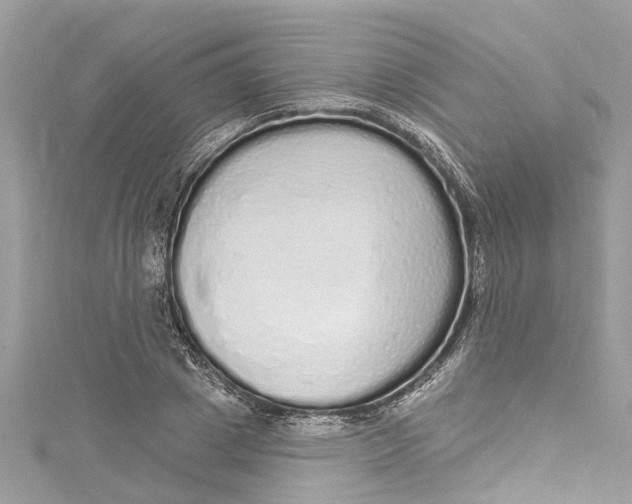 X0000115160833200911171300