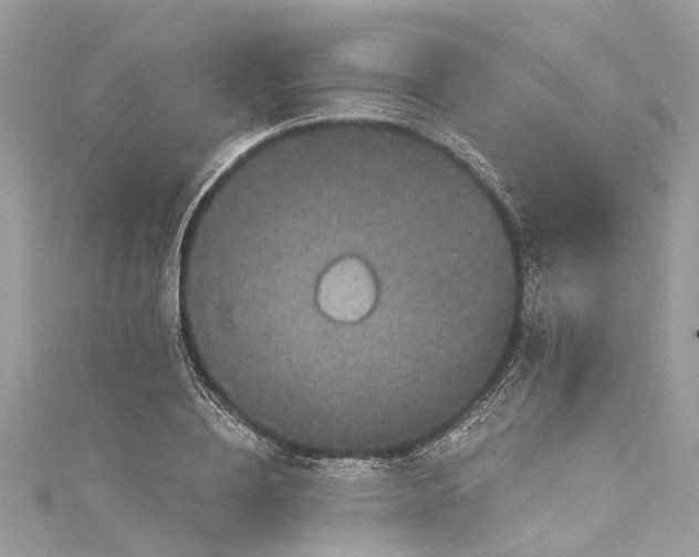 X0000115160836200911171300