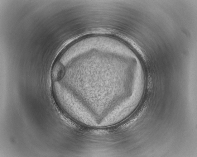 X0000115160837200911171300