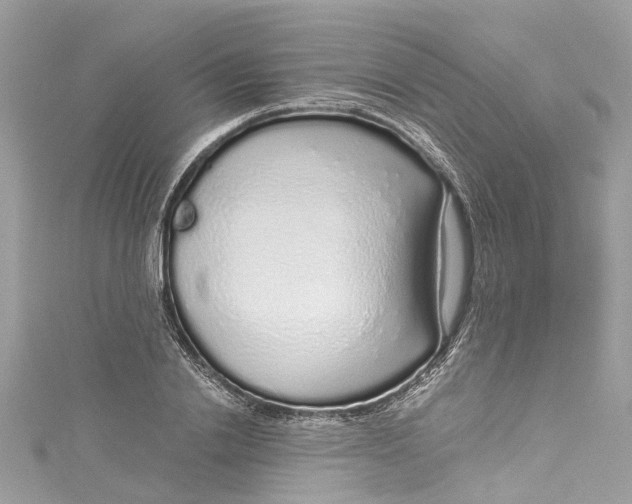 X0000115160838200911171300