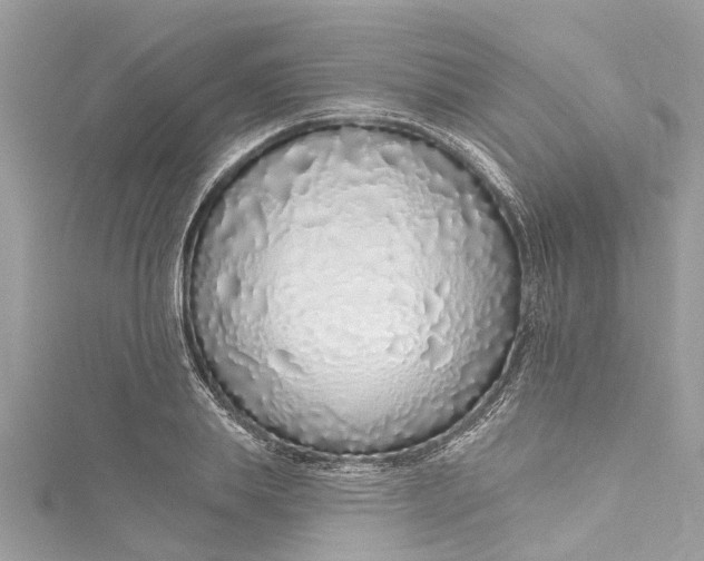 X0000115160839200911171300