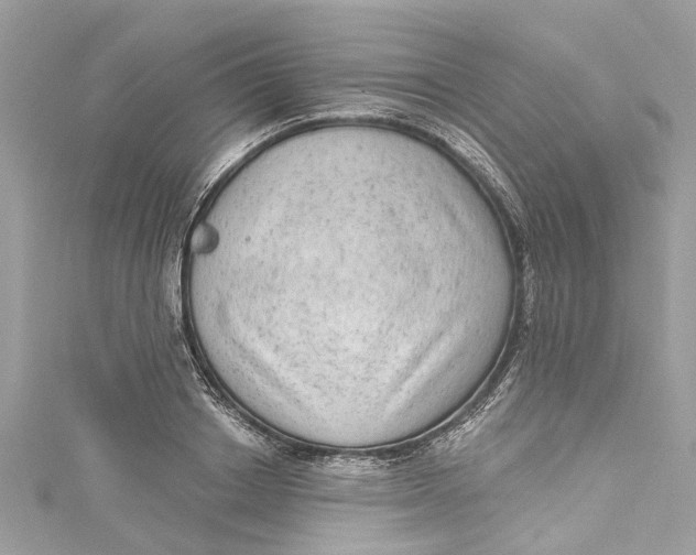 X0000115160842200911171300