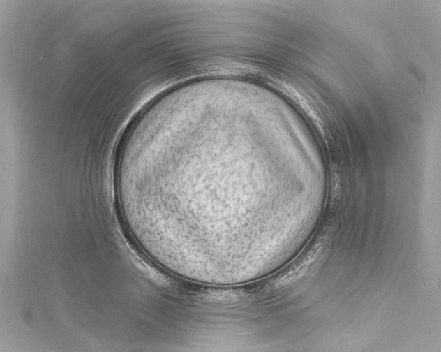 X0000115160843200911171300