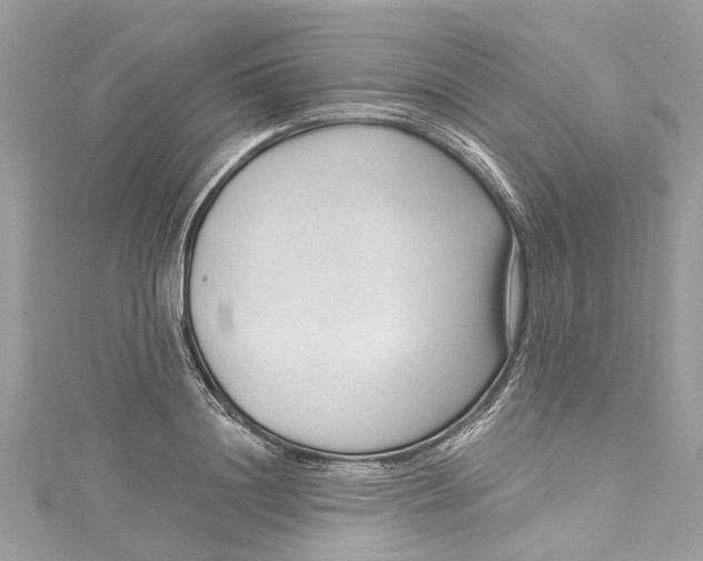 X0000115160844200911171300