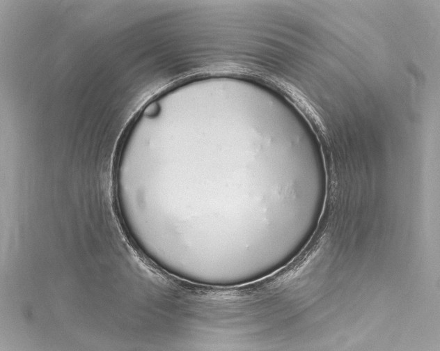 X0000115160845200911171300