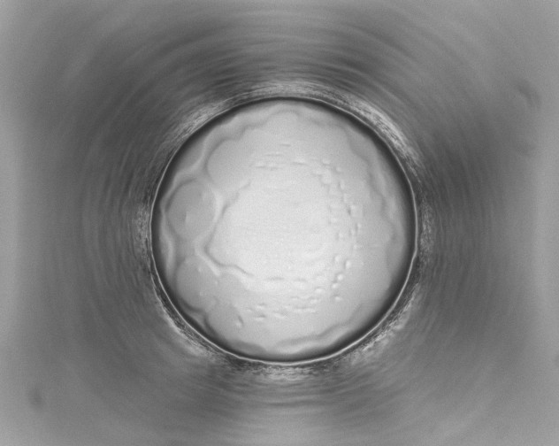 X0000115160849200911171300