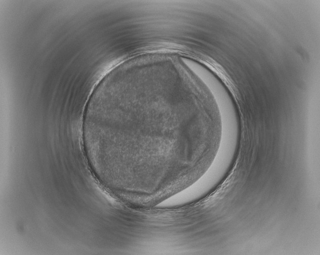 X0000115160850200911171300