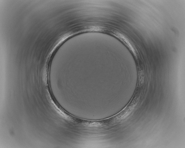 X0000115160851200911171300