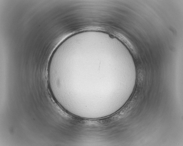 X0000115160852200911171300