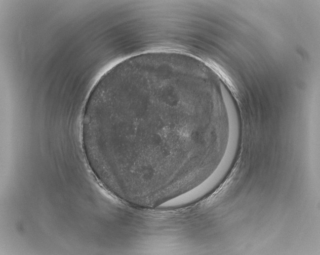 X0000115160854200911171300