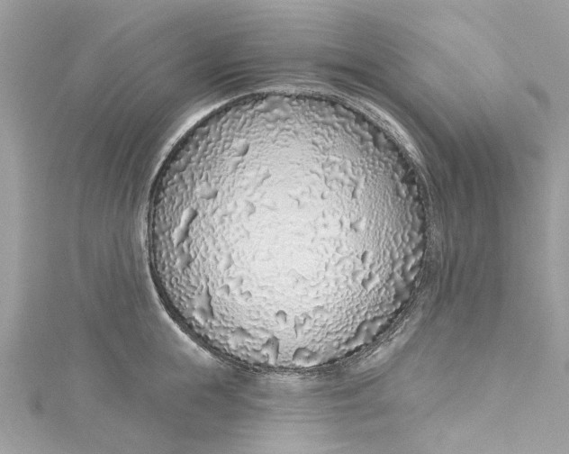 X0000115160855200911171300