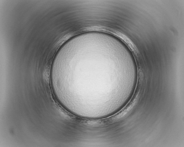 X0000115160857200911171300