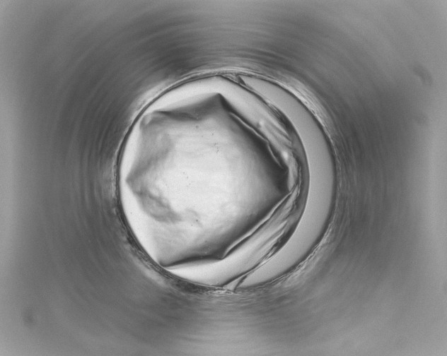 X0000115160858200911171300