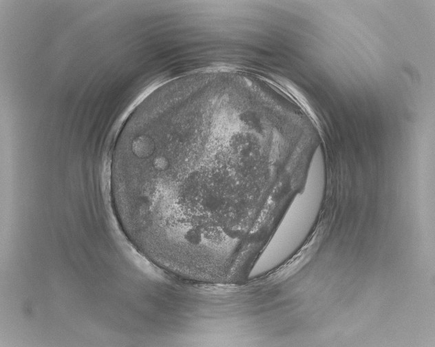 X0000115160859200911171300