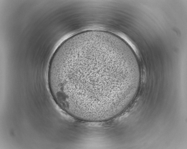 X0000115160861200911171300