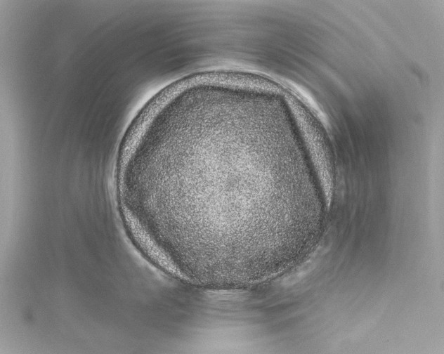 X0000115160863200911171300