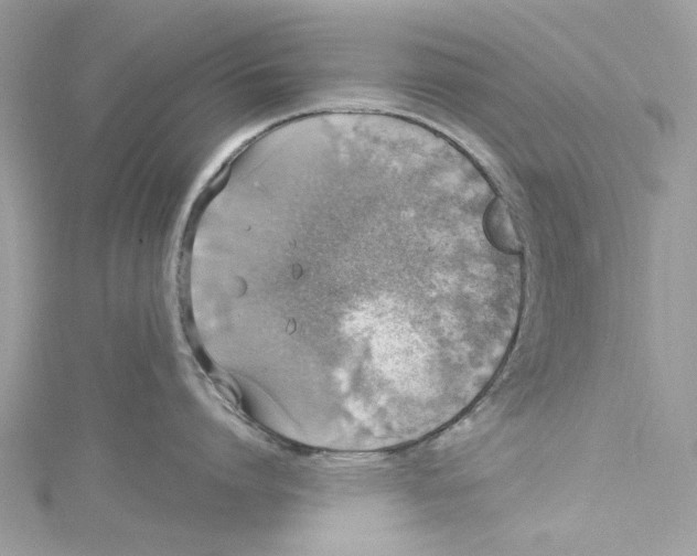 X0000115160864200911171300