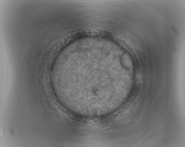 X0000115160865200911171259