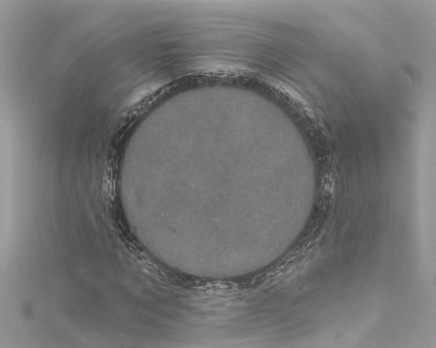 X0000115160869200911171259