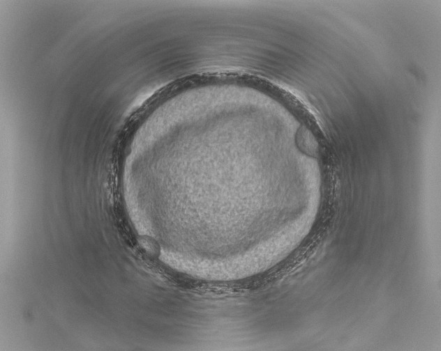 X0000115160871200911171259