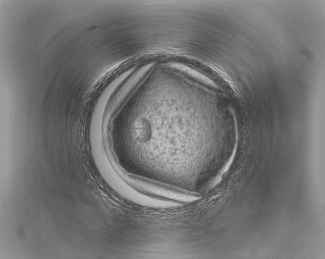 X0000115160872200911171259