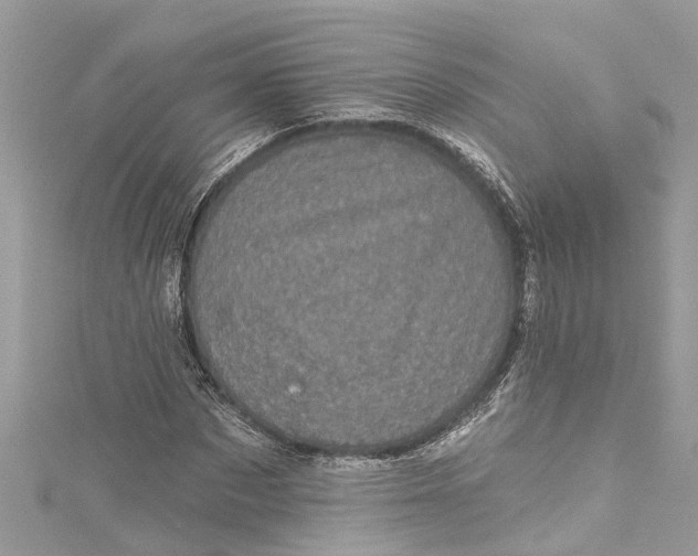 X0000115160873200911171259