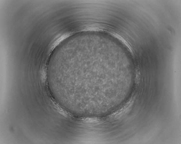 X0000115160874200911171259