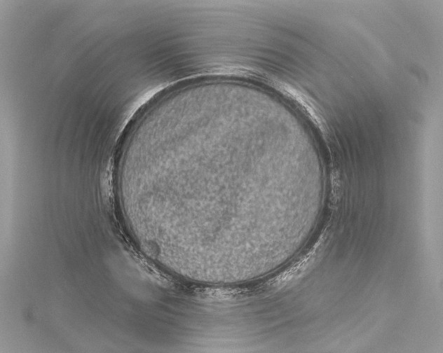 X0000115160875200911171259