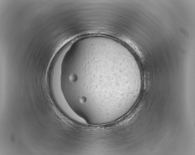 X0000115160876200911171259