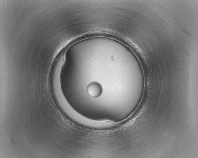 X0000115160877200911171259