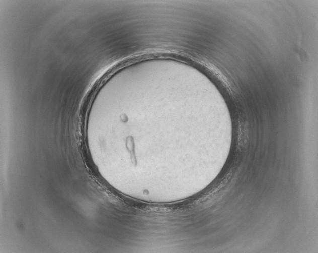 X0000115160878200911171259