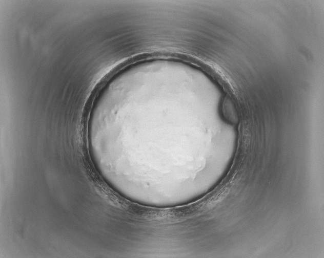 X0000115160879200911171259