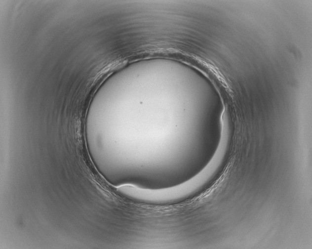 X0000115160881200911171259