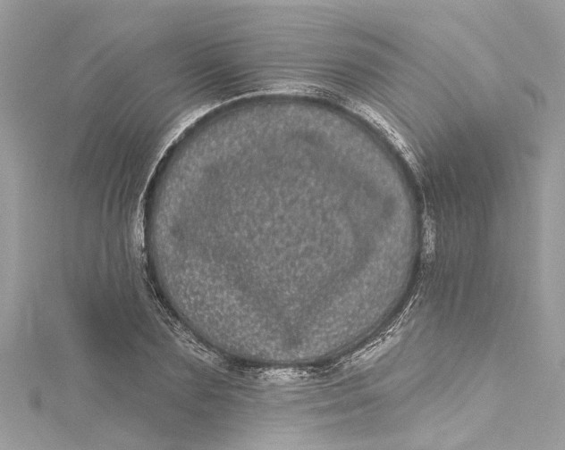 X0000115160883200911171259