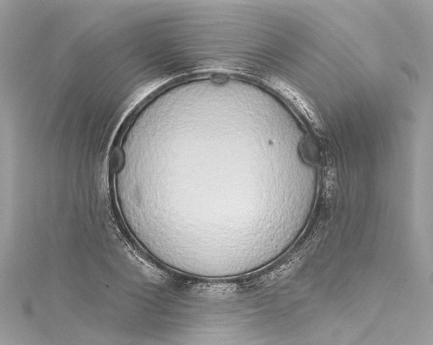 X0000115160884200911171259