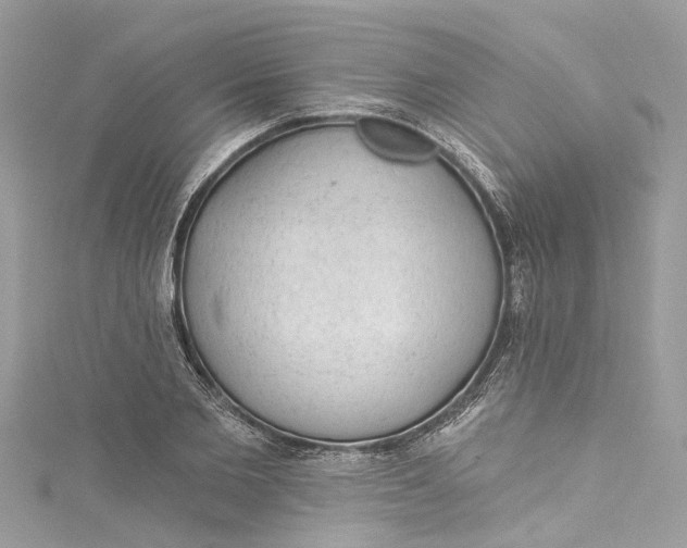 X0000115160885200911171259