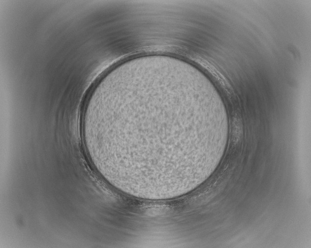 X0000115160886200911171259