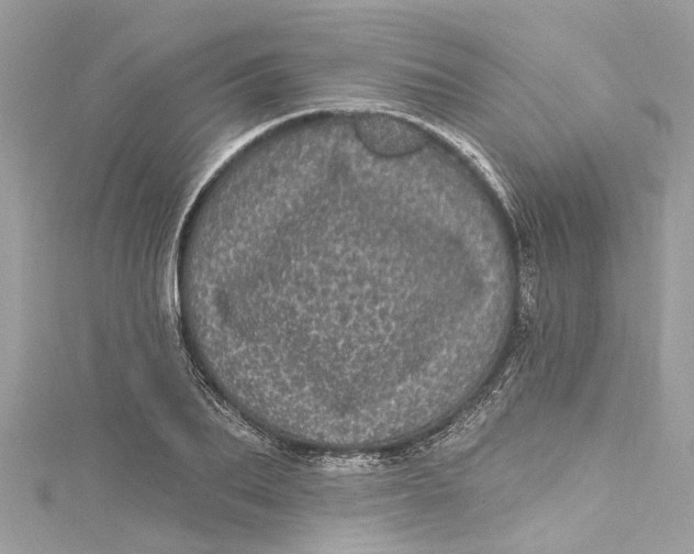 X0000115160887200911171259