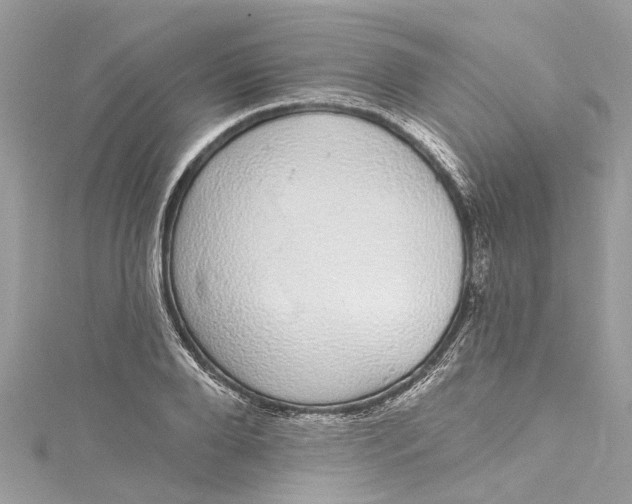 X0000115160888200911171259