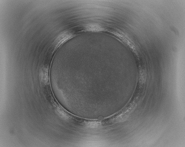 X0000115160889200911171259