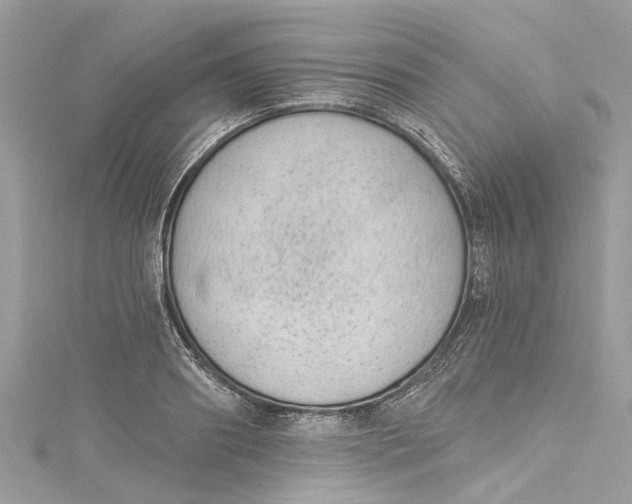 X0000115160890200911171259