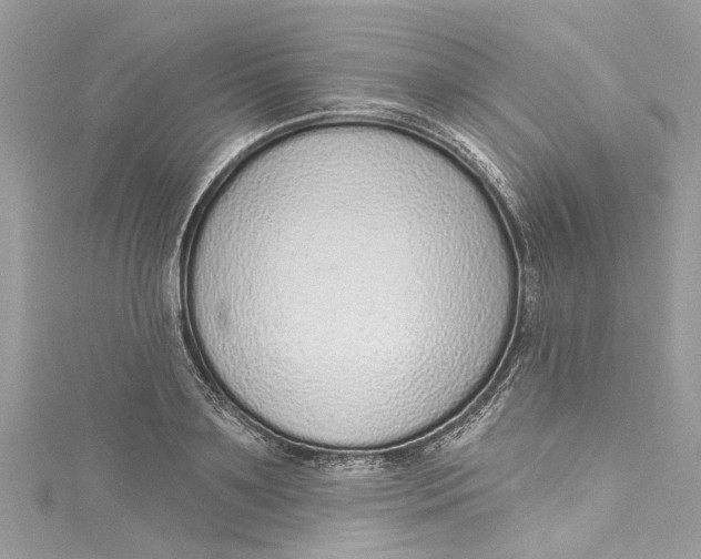 X0000115160891200911171259