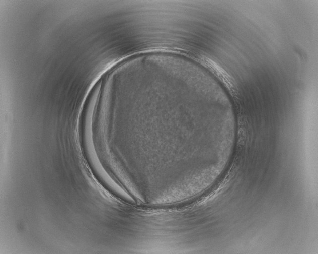 X0000115160892200911171259