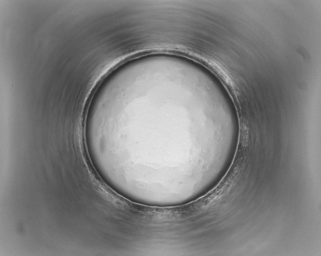 X0000115160895200911171259