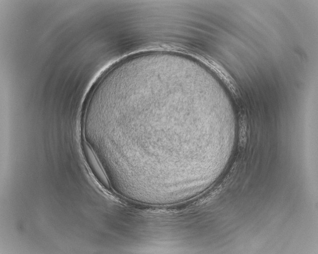 X0000115160896200911171259