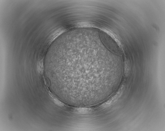 X0000115160897200911171259