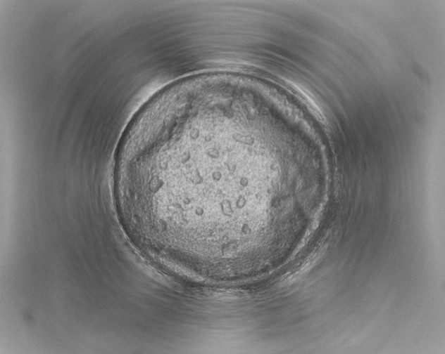 X0000115160899200911171259