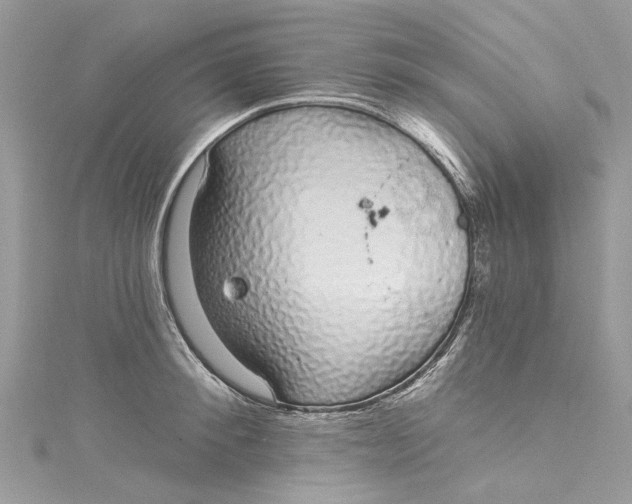 X0000115160900200911171259