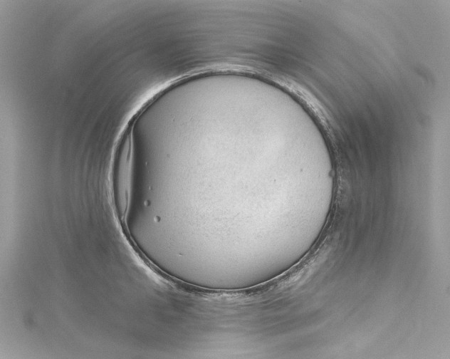 X0000115160902200911171259