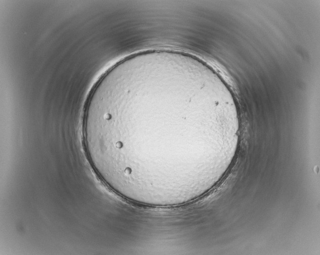 X0000115160904200911171259